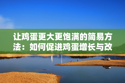 讓雞蛋更大更飽滿的簡(jiǎn)易方法：如何促進(jìn)雞蛋增長(zhǎng)與改善品質(zhì)