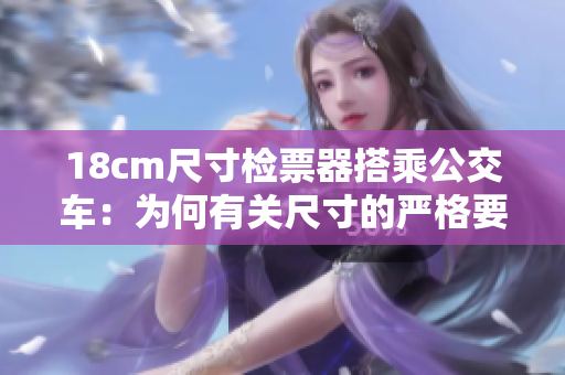 18cm尺寸檢票器搭乘公交車：為何有關(guān)尺寸的嚴格要求？