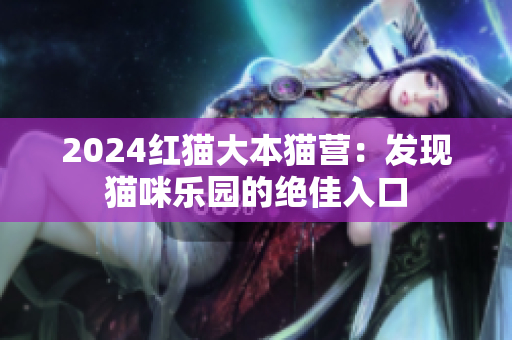 2024紅貓大本貓營(yíng)：發(fā)現(xiàn)貓咪樂(lè)園的絕佳入口