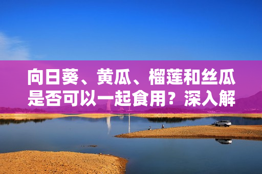 向日葵、黃瓜、榴蓮和絲瓜是否可以一起食用？深入解析這些蔬果的營養(yǎng)價值和食用考量