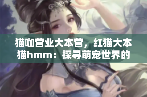 貓咖營業(yè)大本營，紅貓大本貓hmm：探尋萌寵世界的神秘密碼
