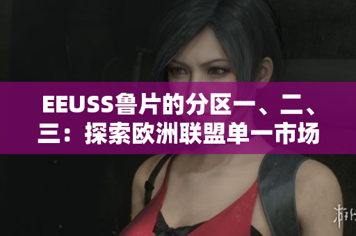 EEUSS魯片的分區(qū)一、二、三：探索歐洲聯(lián)盟單一市場的地區(qū)特色