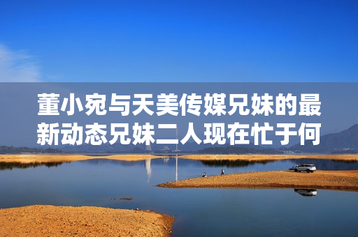 董小宛與天美傳媒兄妹的最新動(dòng)態(tài)兄妹二人現(xiàn)在忙于何事？