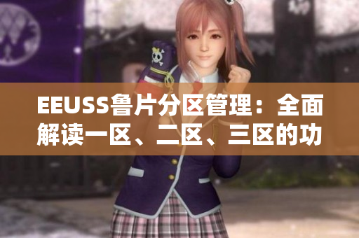 EEUSS魯片分區(qū)管理：全面解讀一區(qū)、二區(qū)、三區(qū)的功能與特點(diǎn)