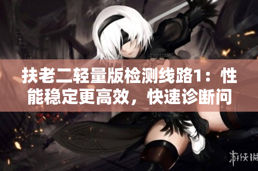 扶老二輕量版檢測(cè)線路1：性能穩(wěn)定更高效，快速診斷問題解決方案
