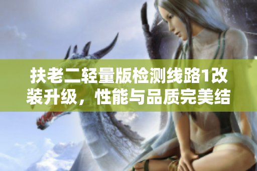 扶老二輕量版檢測線路1改裝升級，性能與品質(zhì)完美結(jié)合