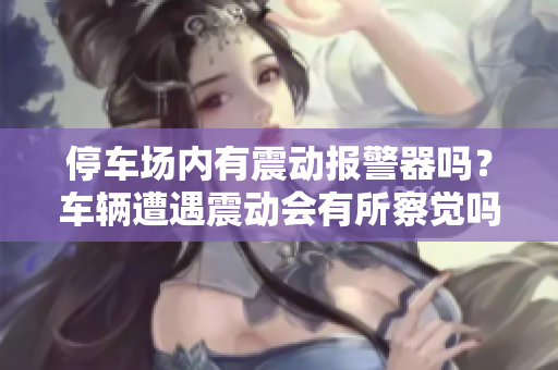 停車場(chǎng)內(nèi)有震動(dòng)報(bào)警器嗎？車輛遭遇震動(dòng)會(huì)有所察覺嗎？