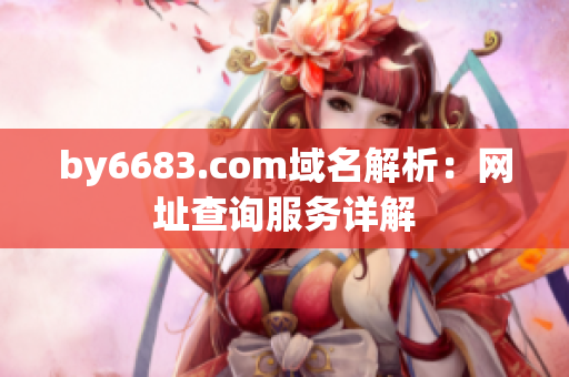 by6683.com域名解析：網(wǎng)址查詢(xún)服務(wù)詳解
