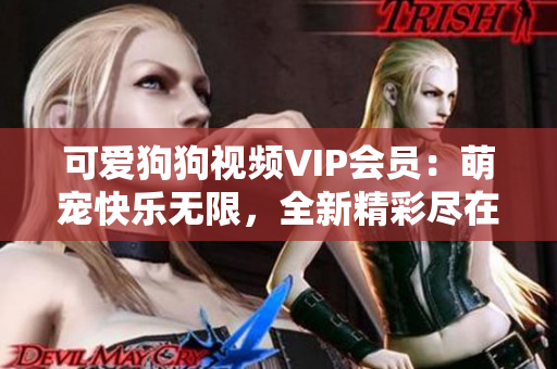 可愛(ài)狗狗視頻VIP會(huì)員：萌寵快樂(lè)無(wú)限，全新精彩盡在其中