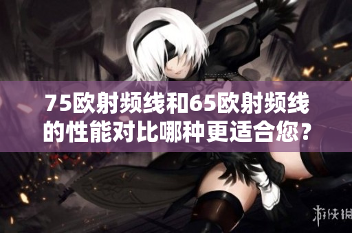 75歐射頻線和65歐射頻線的性能對(duì)比哪種更適合您？