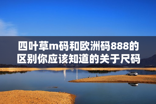 四葉草m碼和歐洲碼888的區(qū)別你應(yīng)該知道的關(guān)于尺碼的一切