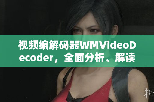 視頻編解碼器WMVideoDecoder，全面分析、解讀及應(yīng)用指南