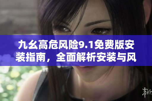 九幺高危風險9.1免費版安裝指南，全面解析安裝與風險管理