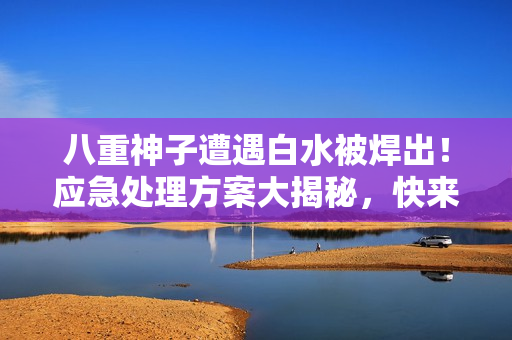 八重神子遭遇白水被焊出！應(yīng)急處理方案大揭秘，快來了解！