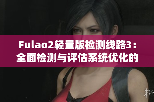Fulao2輕量版檢測(cè)線(xiàn)路3：全面檢測(cè)與評(píng)估系統(tǒng)優(yōu)化的有效工具
