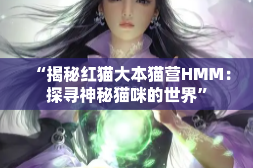“揭秘紅貓大本貓營(yíng)HMM：探尋神秘貓咪的世界”