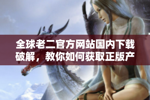 全球老二官方網(wǎng)站國(guó)內(nèi)下載破解，教你如何獲取正版產(chǎn)品！