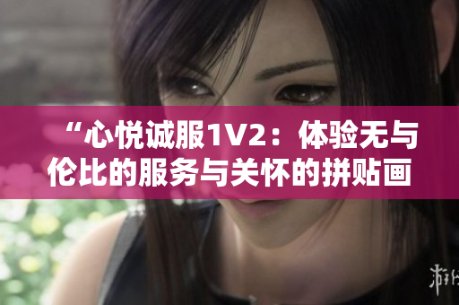 “心悅誠(chéng)服1V2：體驗(yàn)無與倫比的服務(wù)與關(guān)懷的拼貼畫”