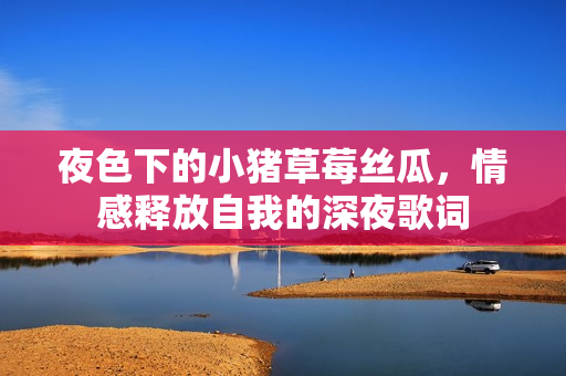 夜色下的小豬草莓絲瓜，情感釋放自我的深夜歌詞
