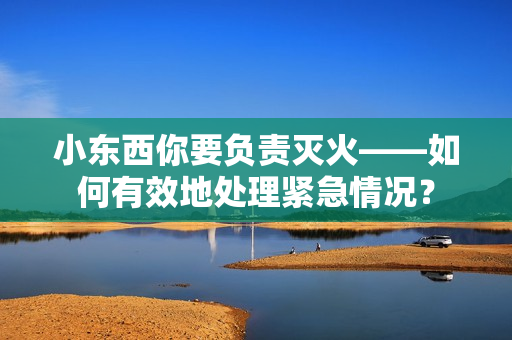 小東西你要負(fù)責(zé)滅火——如何有效地處理緊急情況？