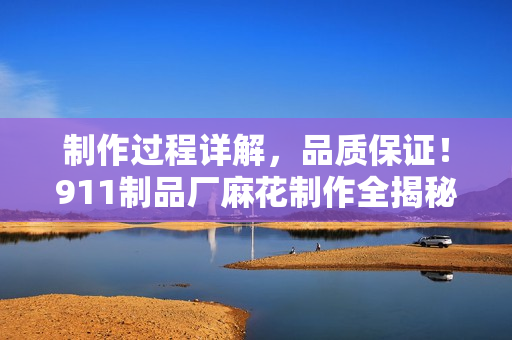 制作過(guò)程詳解，品質(zhì)保證！911制品廠麻花制作全揭秘