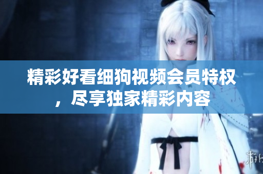 精彩好看細狗視頻會員特權(quán)，盡享獨家精彩內(nèi)容