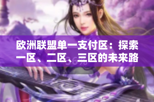 歐洲聯(lián)盟單一支付區(qū)：探索一區(qū)、二區(qū)、三區(qū)的未來路徑