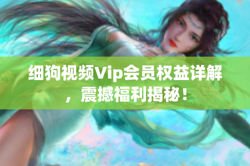 細狗視頻Vip會員權(quán)益詳解，震撼福利揭秘！