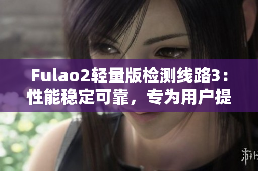 Fulao2輕量版檢測線路3：性能穩(wěn)定可靠，專為用戶提供高效檢測體驗