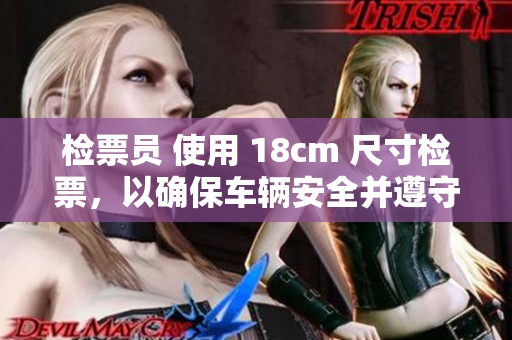檢票員 使用 18cm 尺寸檢票，以確保車輛安全并遵守規(guī)定