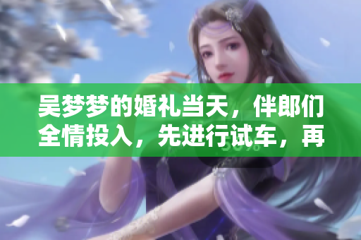 吳夢(mèng)夢(mèng)的婚禮當(dāng)天，伴郎們?nèi)橥度耄冗M(jìn)行試車，再搬家，全程熱鬧非凡