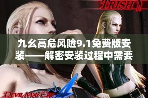 九幺高危風險9.1免費版安裝——解密安裝過程中需要重點關注的風險及對策