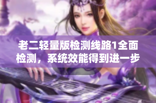 老二輕量版檢測(cè)線路1全面檢測(cè)，系統(tǒng)效能得到進(jìn)一步提升