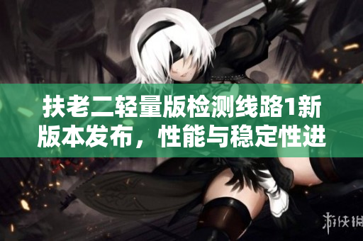 扶老二輕量版檢測(cè)線路1新版本發(fā)布，性能與穩(wěn)定性進(jìn)一步優(yōu)化