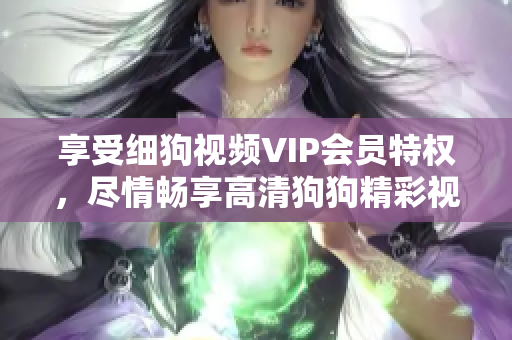 享受細狗視頻VIP會員特權(quán)，盡情暢享高清狗狗精彩視頻