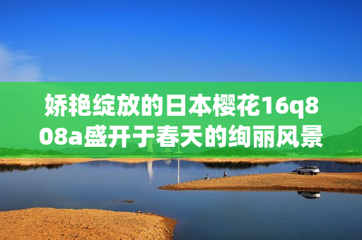 嬌艷綻放的日本櫻花16q808a盛開(kāi)于春天的絢麗風(fēng)景
