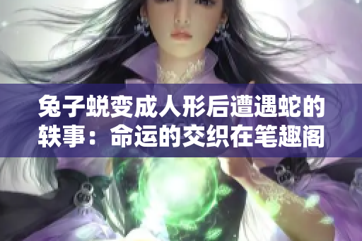 兔子蛻變成人形后遭遇蛇的軼事：命運的交織在筆趣閣
