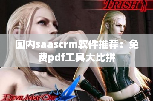國內(nèi)saascrm軟件推薦：免費(fèi)pdf工具大比拼