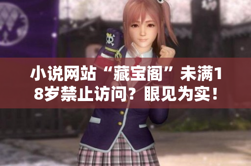 小說(shuō)網(wǎng)站“藏寶閣”未滿18歲禁止訪問(wèn)？眼見(jiàn)為實(shí)！