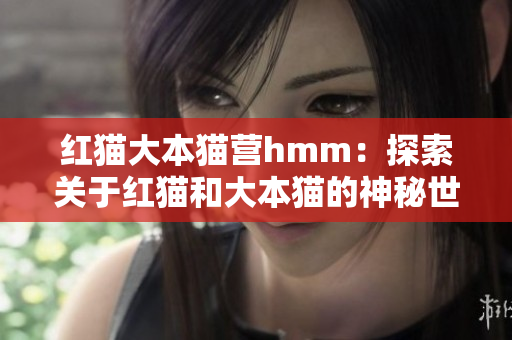 紅貓大本貓營hmm：探索關于紅貓和大本貓的神秘世界