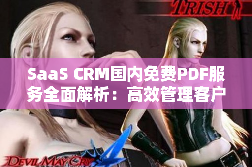 SaaS CRM國(guó)內(nèi)免費(fèi)PDF服務(wù)全面解析：高效管理客戶關(guān)系新利器