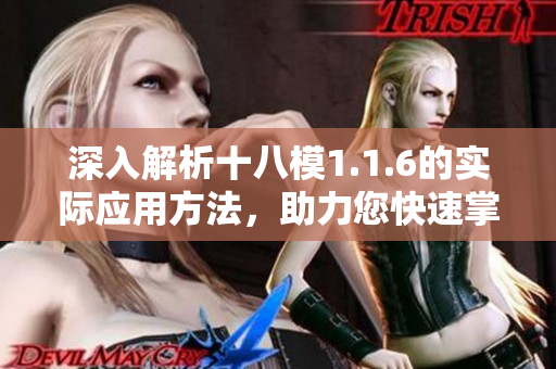 深入解析十八模1.1.6的實際應用方法，助力您快速掌握相關(guān)主題