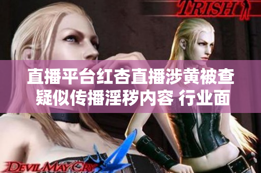 直播平臺紅杏直播涉黃被查 疑似傳播淫穢內容 行業(yè)面臨整改風波