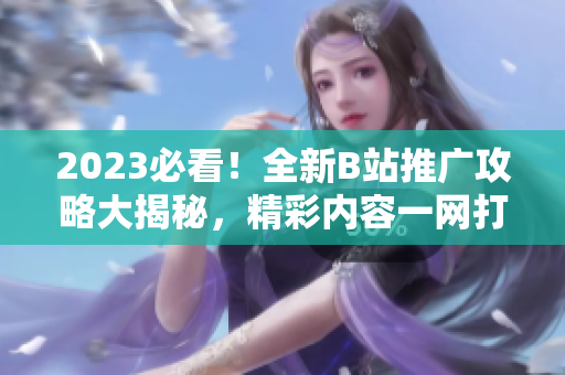 2023必看！全新B站推廣攻略大揭秘，精彩內(nèi)容一網(wǎng)打盡