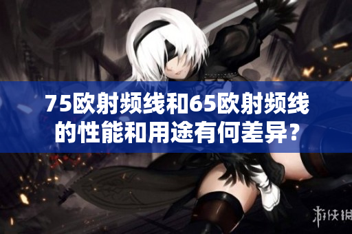75歐射頻線和65歐射頻線的性能和用途有何差異？